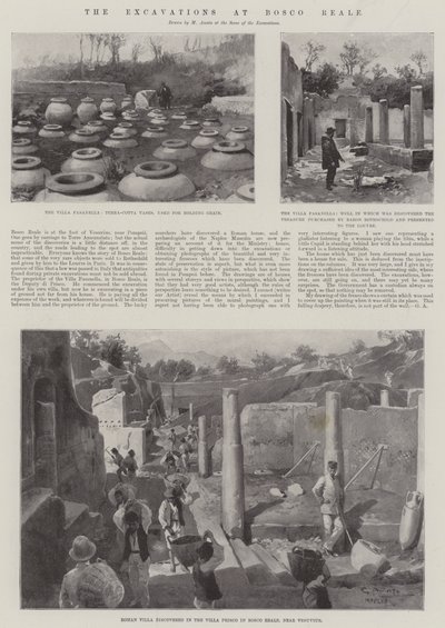 The Excavations at Bosco Reale by G.S. Amato